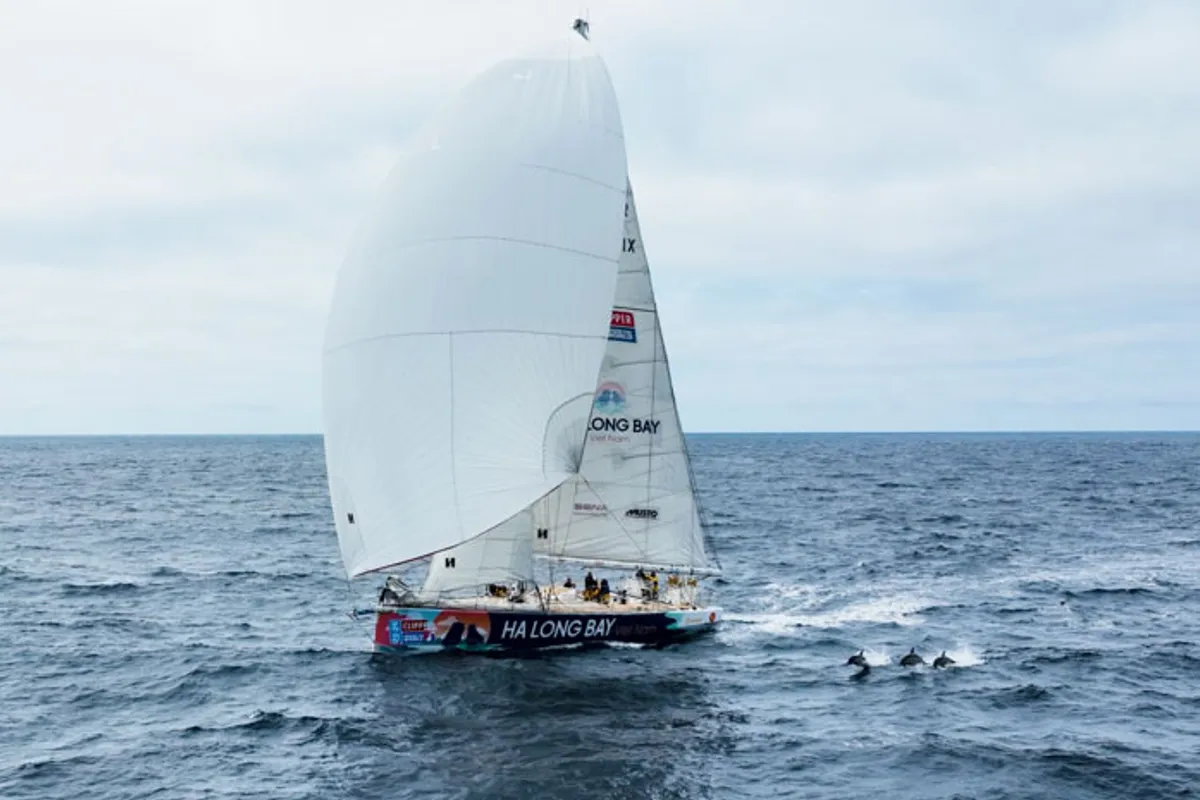 Ha Long Bay, Viet Nam celebrates   Clipper Race trophy win, video highlights