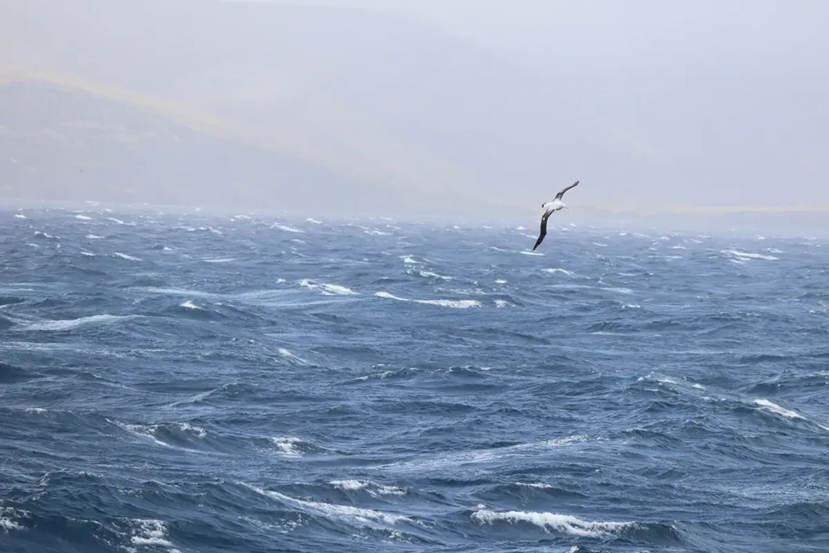 Vendee Gliobe Tuesday:  And then there were two