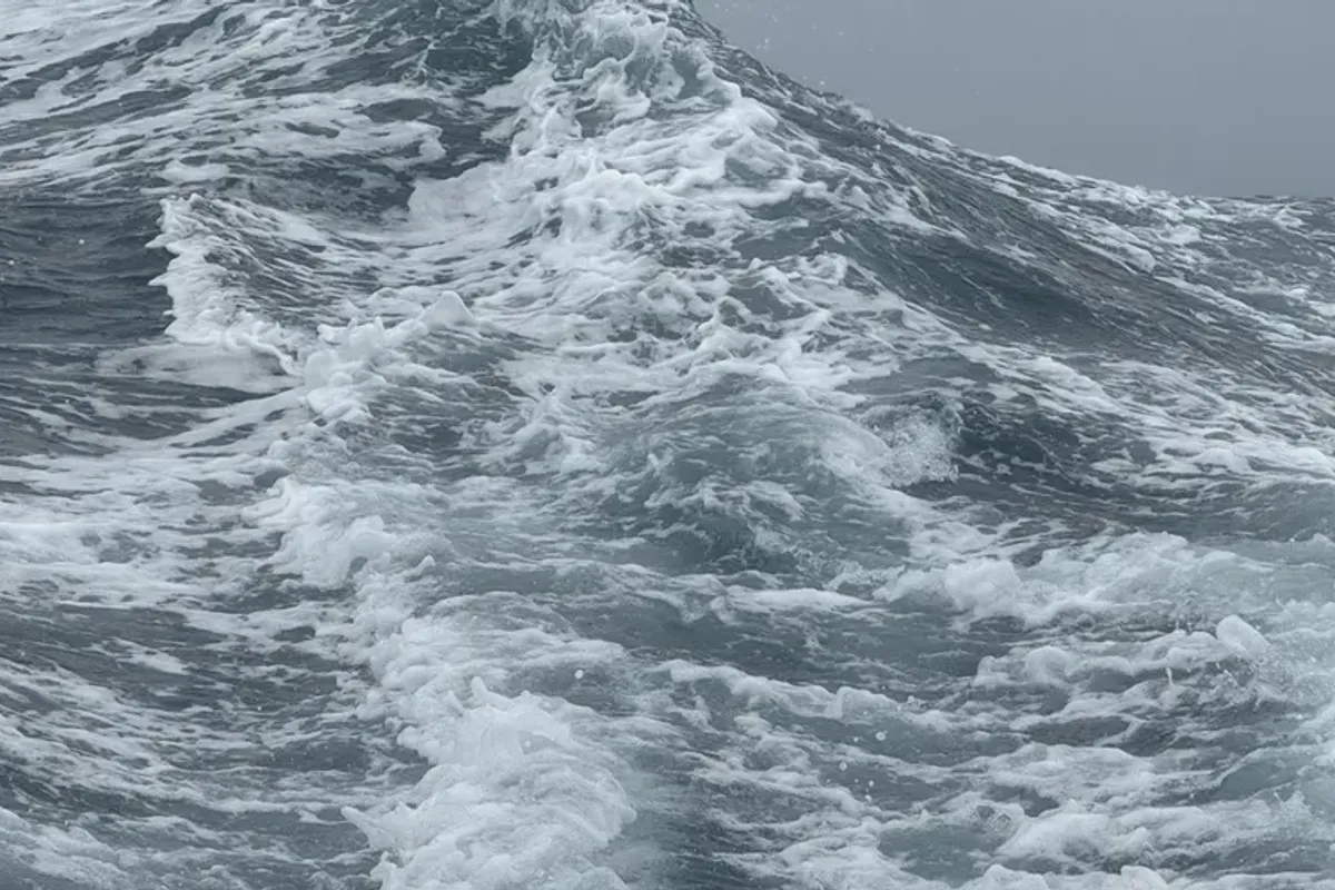 Vendee Globe: Here Be Monsters