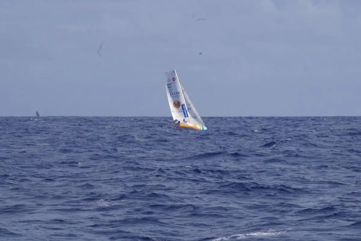 Mini Transat competitors back out on the water