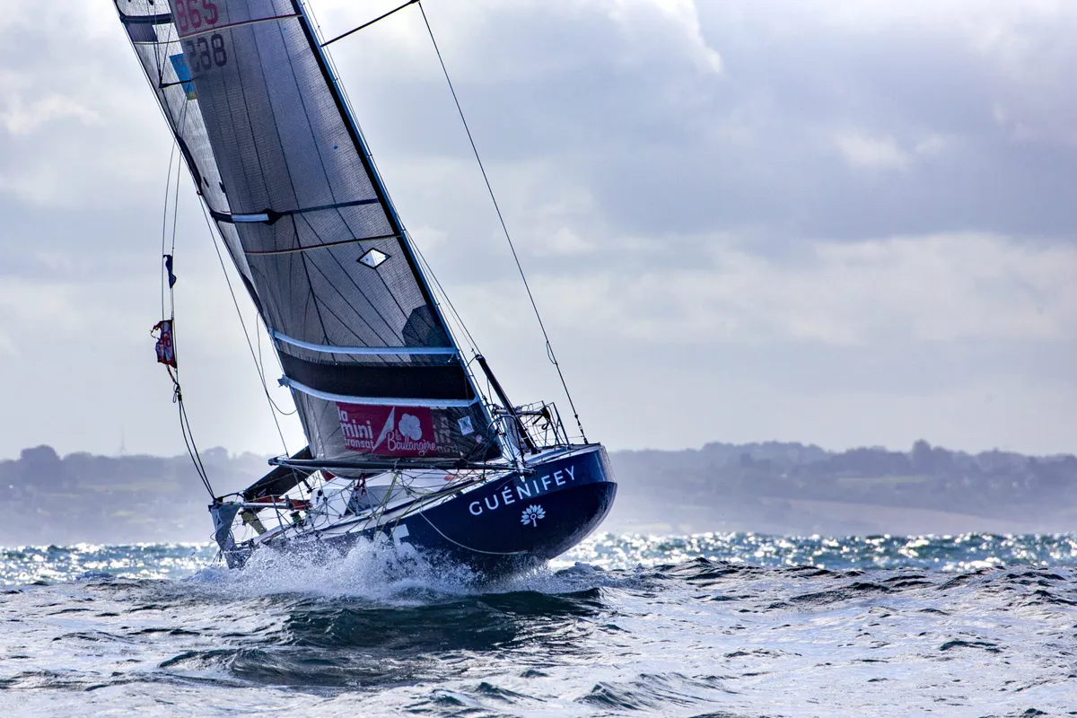Three distinct strategies emerge on Mini Transat