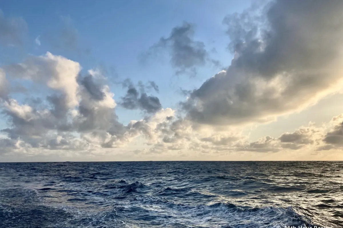 11th Hour Racing Team: Week 2 in the Transat Jacque Vabre