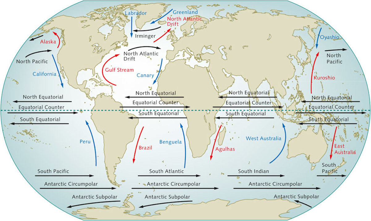 Ocean surface currents relevant to skippers in the Global Solo Challenge
