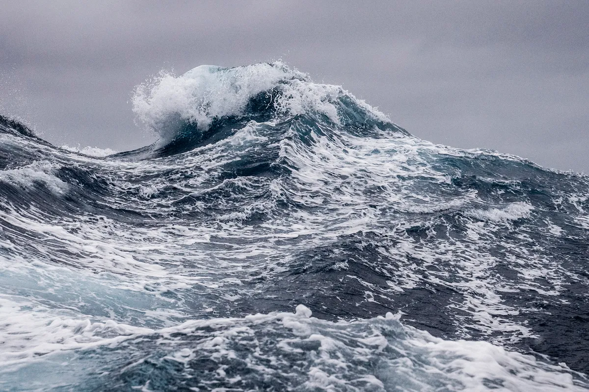 The Ocean Race fleet in final push for Cape Horn