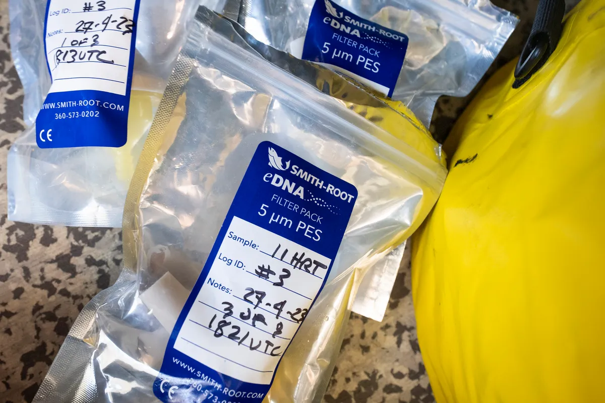 Groundbreaking eDNA data collection in The Ocean Race