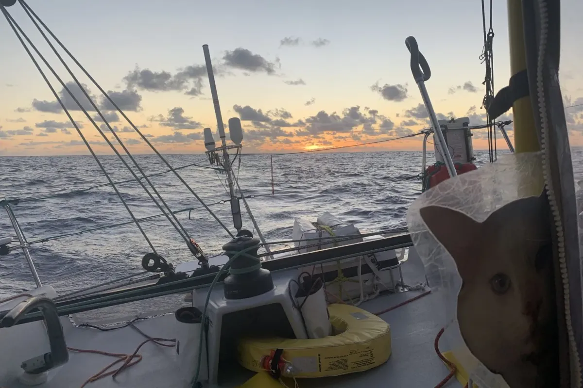 Four skippers still battling to finish the Global Solo Challenge